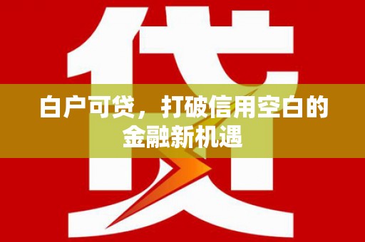 光泽白户可贷，打破信用空白的金融新机遇