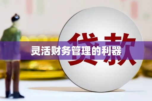 光泽灵活财务管理的利器