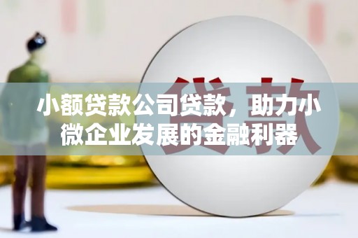 光泽小额贷款公司贷款，助力小微企业发展的金融利器