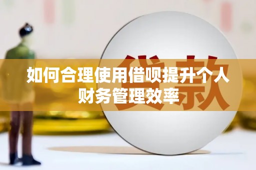 光泽如何合理使用借呗提升个人财务管理效率