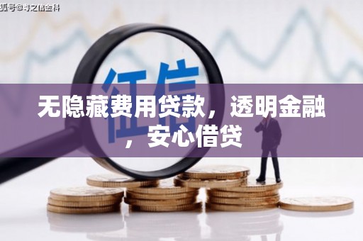 光泽无隐藏费用贷款，透明金融，安心借贷
