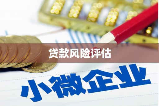 光泽贷款风险评估