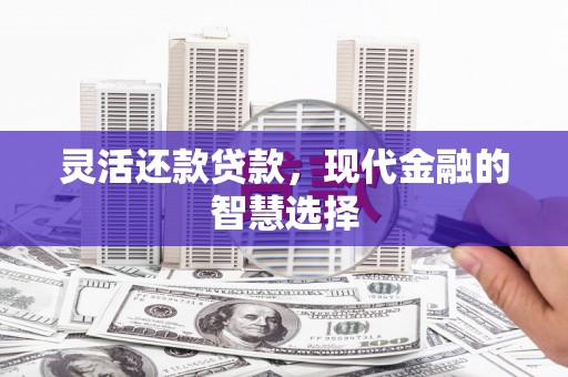 光泽灵活还款贷款，现代金融的智慧选择