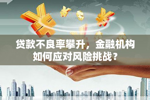 光泽贷款不良率攀升，金融机构如何应对风险挑战？