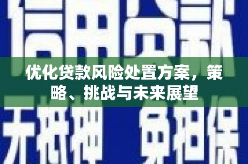 光泽优化贷款风险处置方案，策略、挑战与未来展望