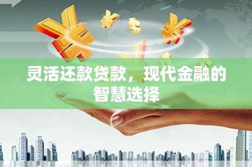 光泽灵活还款贷款，现代金融的智慧选择