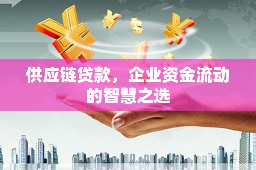 光泽供应链贷款，企业资金流动的智慧之选