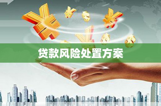 光泽贷款风险处置方案