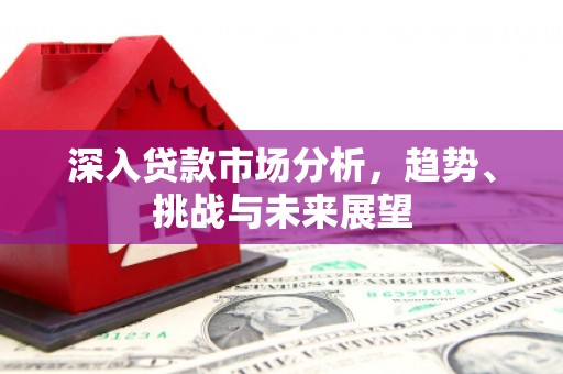 光泽深入贷款市场分析，趋势、挑战与未来展望