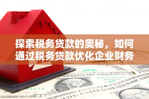 光泽探索税务贷款的奥秘，如何通过税务贷款优化企业财务