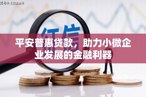 光泽平安普惠贷款，助力小微企业发展的金融利器