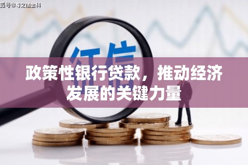 光泽政策性银行贷款，推动经济发展的关键力量