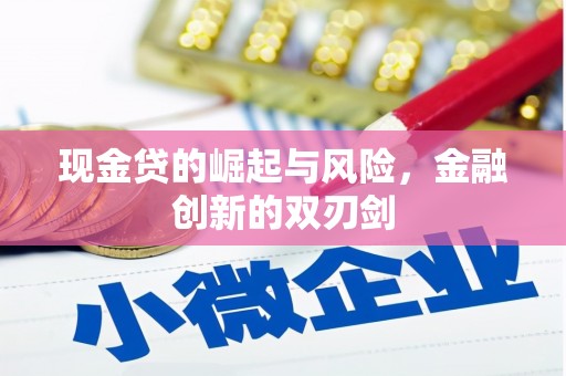 光泽现金贷的崛起与风险，金融创新的双刃剑
