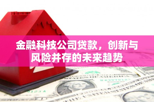 光泽金融科技公司贷款，创新与风险并存的未来趋势