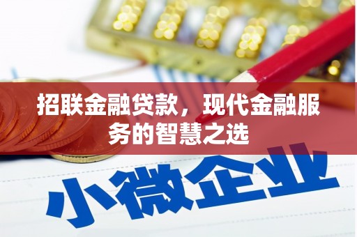 光泽招联金融贷款，现代金融服务的智慧之选