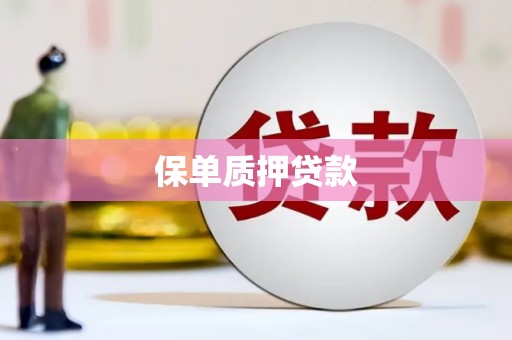 光泽保单质押贷款