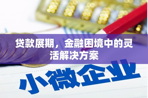 光泽贷款展期，金融困境中的灵活解决方案
