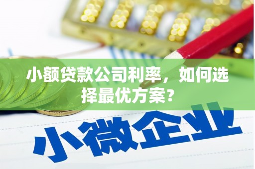 光泽小额贷款公司利率，如何选择最优方案？