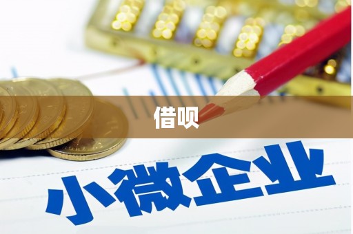 光泽借呗