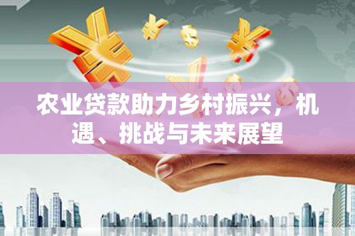 光泽农业贷款助力乡村振兴，机遇、挑战与未来展望