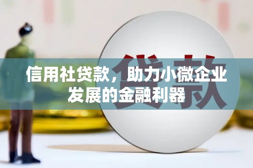 光泽信用社贷款，助力小微企业发展的金融利器