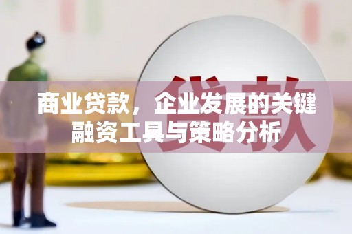 光泽商业贷款，企业发展的关键融资工具与策略分析