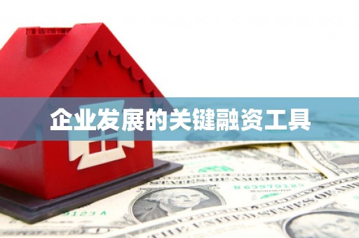 光泽企业发展的关键融资工具