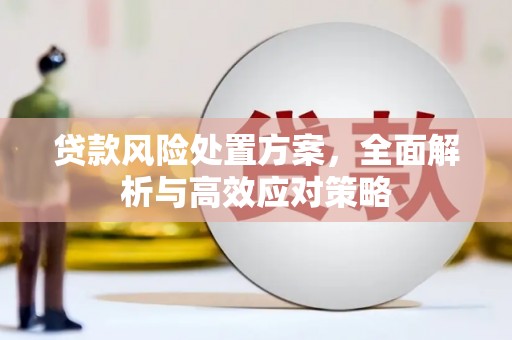 光泽贷款风险处置方案，全面解析与高效应对策略