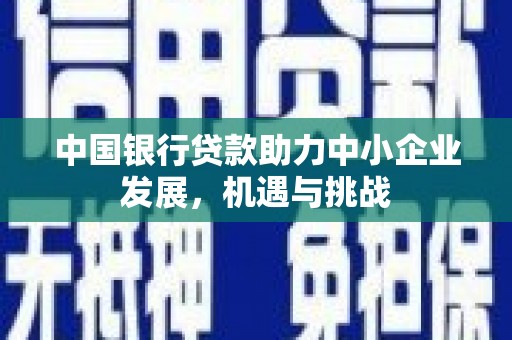 光泽中国银行贷款助力中小企业发展，机遇与挑战