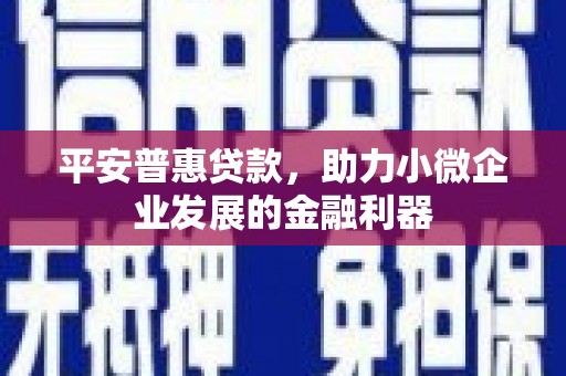 光泽平安普惠贷款，助力小微企业发展的金融利器
