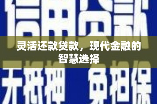 光泽灵活还款贷款，现代金融的智慧选择