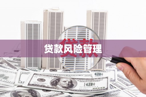 光泽贷款风险管理