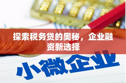 光泽探索税务贷的奥秘，企业融资新选择