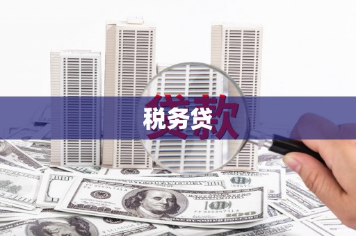 光泽税务贷
