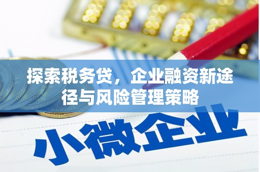 光泽探索税务贷，企业融资新途径与风险管理策略