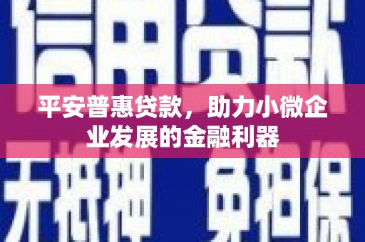 光泽平安普惠贷款，助力小微企业发展的金融利器