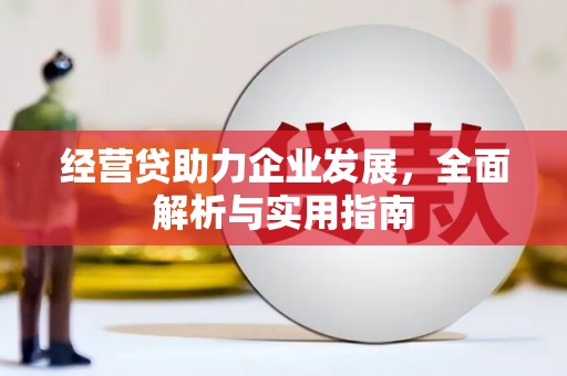 光泽经营贷助力企业发展，全面解析与实用指南
