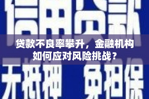 光泽贷款不良率攀升，金融机构如何应对风险挑战？