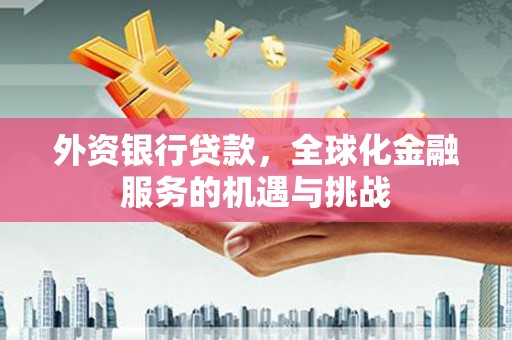 光泽外资银行贷款，全球化金融服务的机遇与挑战