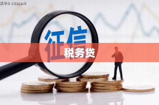 光泽税务贷