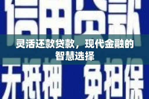 光泽灵活还款贷款，现代金融的智慧选择