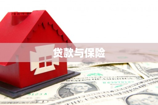 光泽贷款与保险