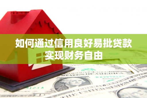 光泽如何通过信用良好易批贷款实现财务自由