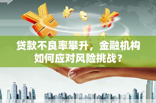 光泽贷款不良率攀升，金融机构如何应对风险挑战？