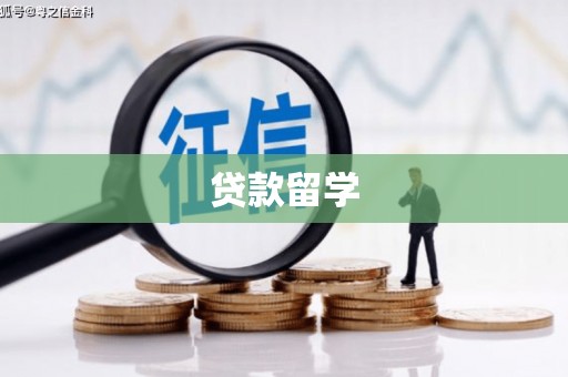 光泽贷款留学