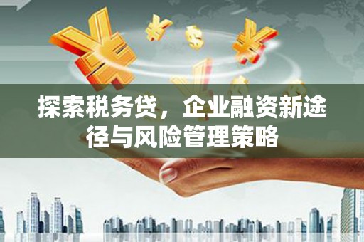 光泽探索税务贷，企业融资新途径与风险管理策略