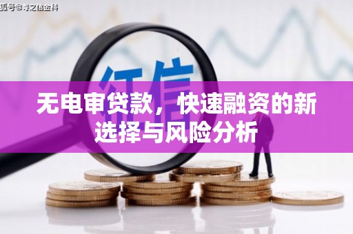 光泽无电审贷款，快速融资的新选择与风险分析