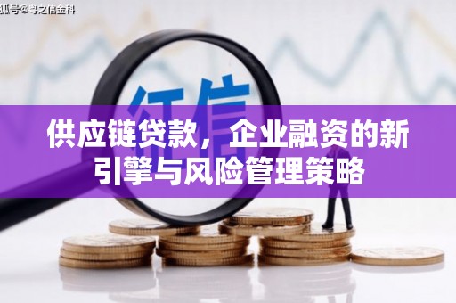 光泽供应链贷款，企业融资的新引擎与风险管理策略