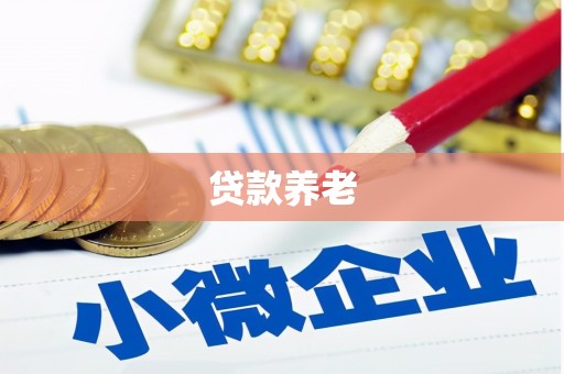 光泽贷款养老