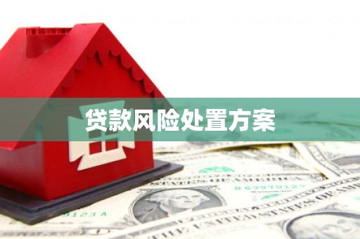 光泽贷款风险处置方案